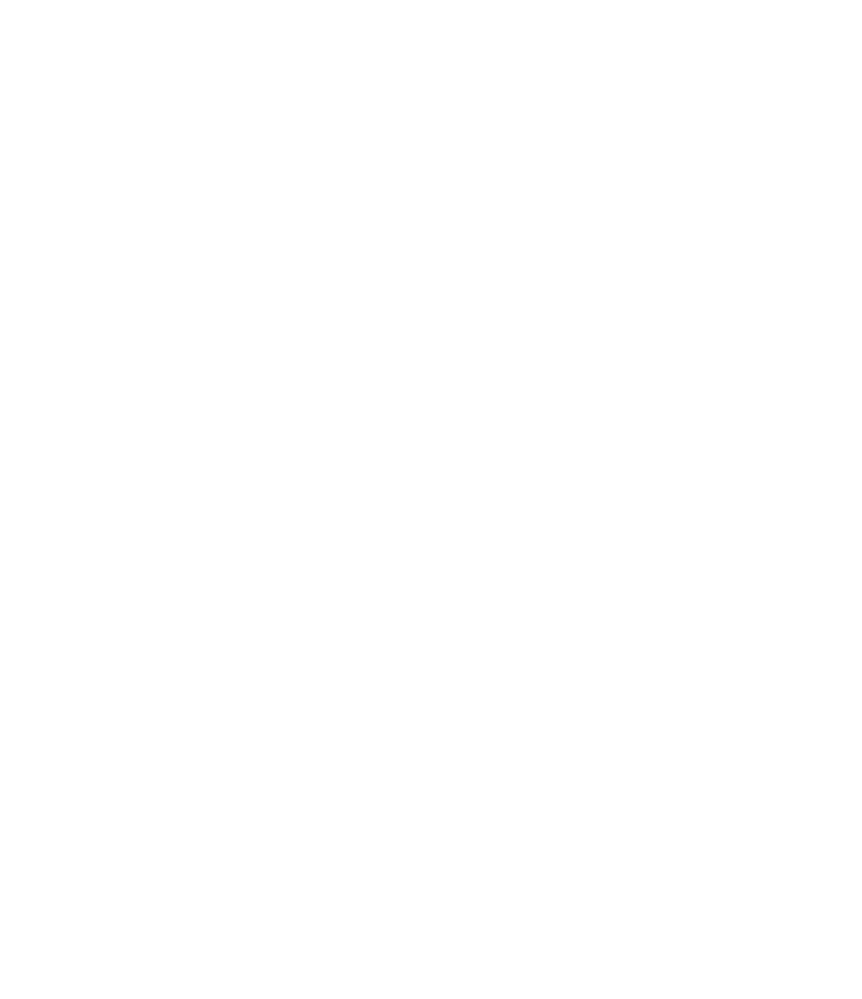 The RAID Social